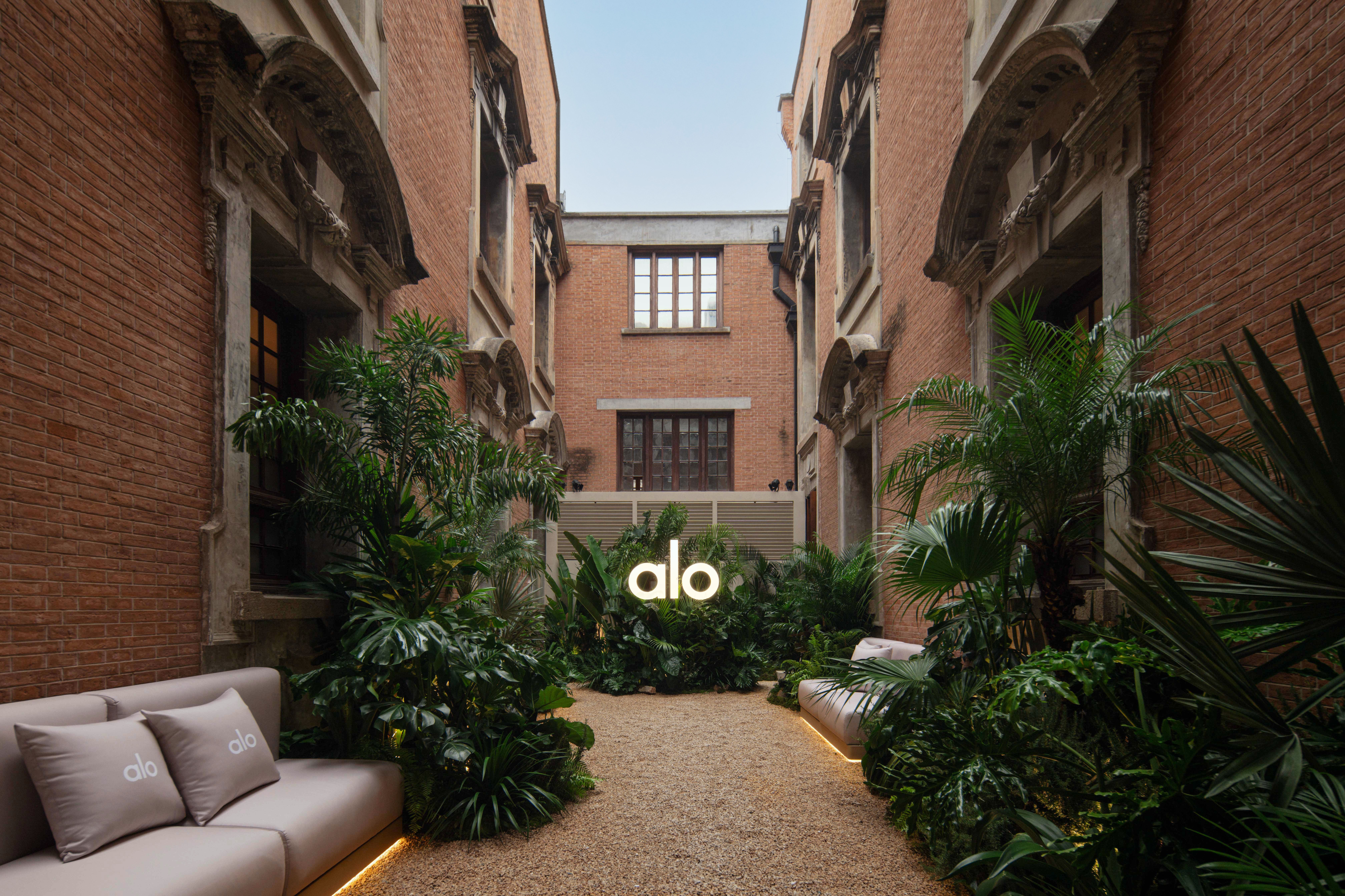 alo-2.jpg