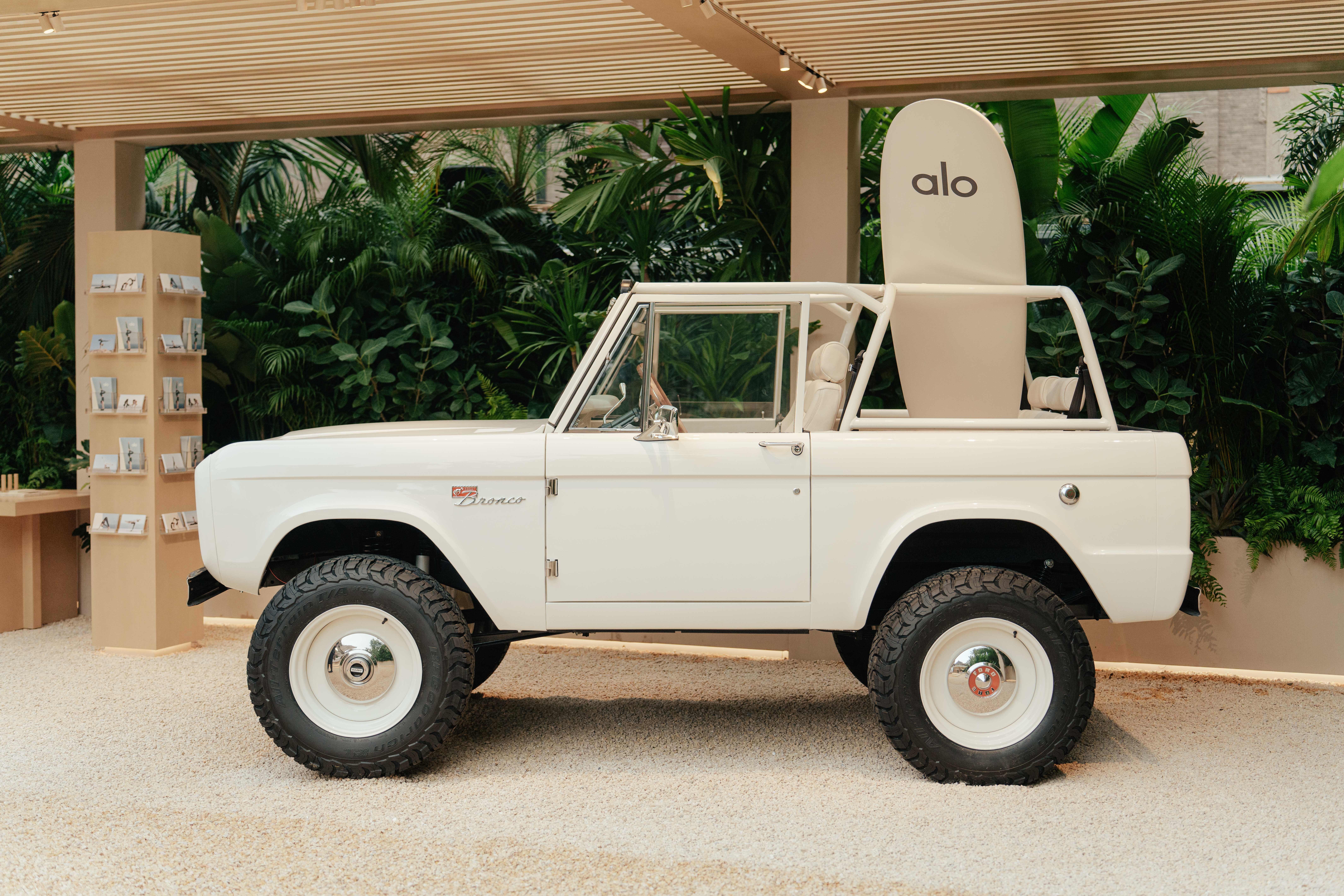 alo-3.jpg